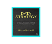 Data Strategy: How to Profit from a World of Big Data, Analytics and the Internet of Things